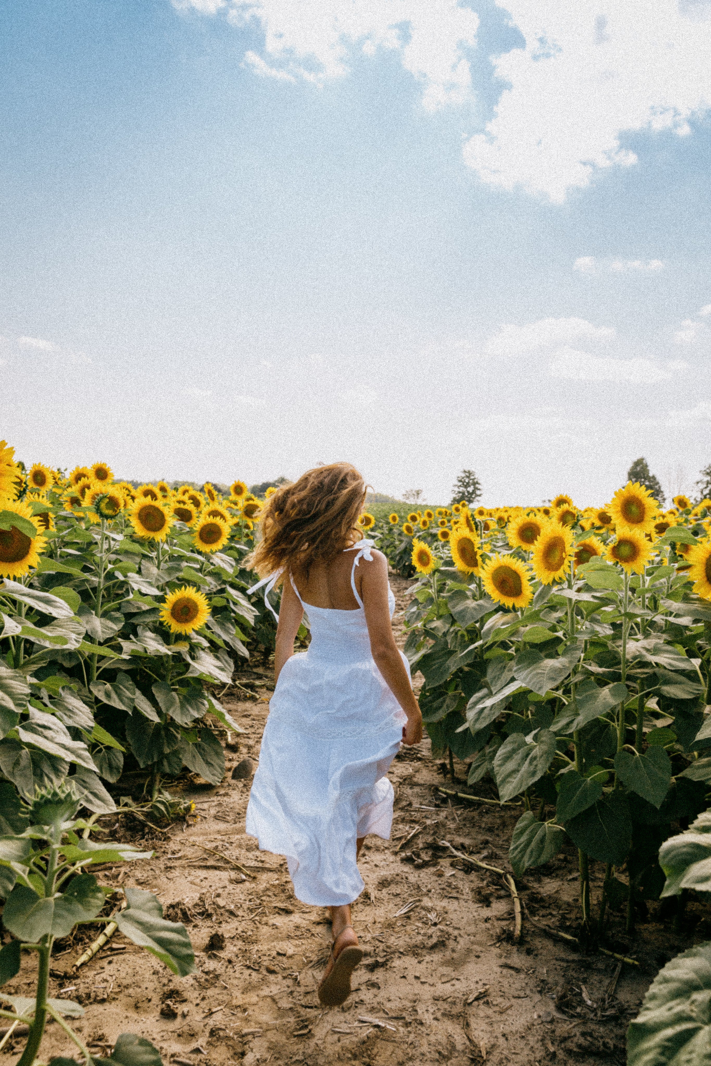 person-skips-in-a-sunny-sunflower-field_7d0d4177-ad3d-40bd-a68a-025051729f7a.jpg